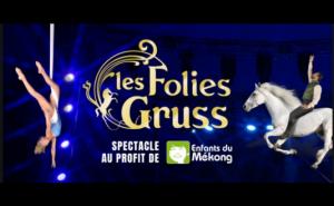 les Folies Gruss au profil d'Enfants du Mekong"